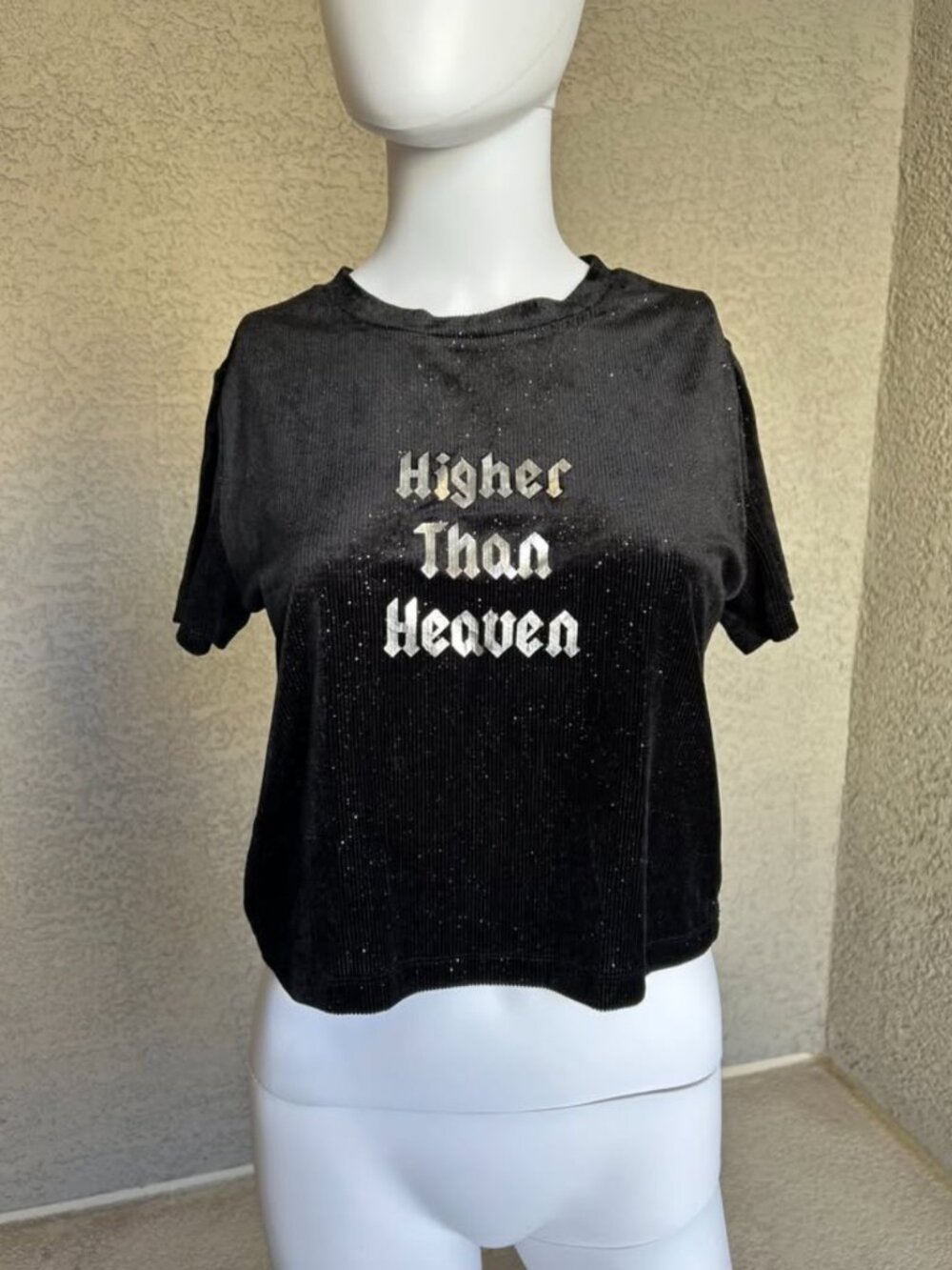 "Higher Than Heaven" Cropped Velour/Velvet Tee